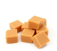Felko Fudge vanille 500 gram